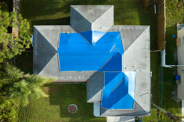 Best Roof Coating and Sealing  in Saranac, MI