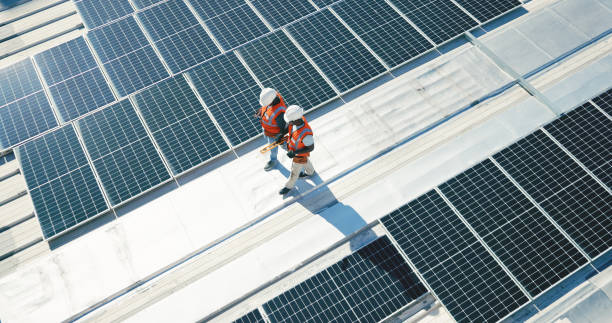 Best Roof Maintenance and Cleaning  in Saranac, MI