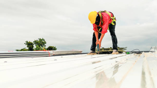 Best Roof Insulation Installation  in Saranac, MI