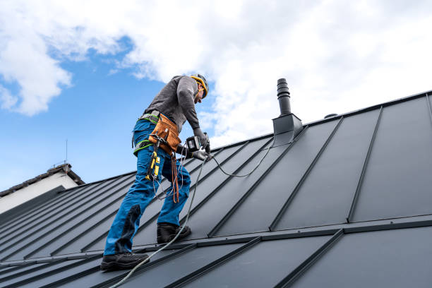 Best Roof Insulation Installation  in Saranac, MI