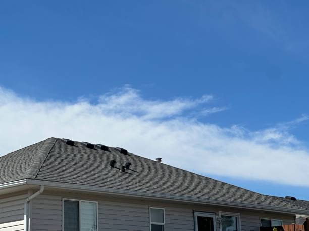 Best Cold Roofs  in Saranac, MI